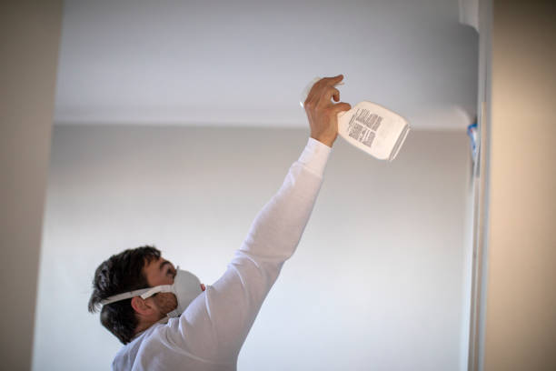 Best Certified Mold Removal  in Oglesby, IL
