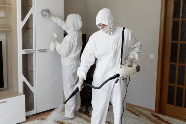 Mold Removal and Inspection in Oglesby, IL