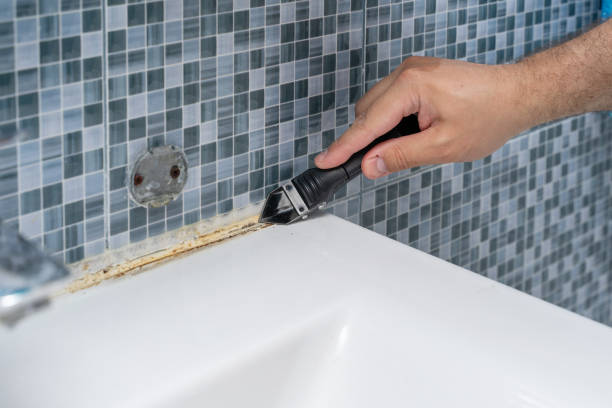 Trusted Oglesby, IL Mold Removal Experts