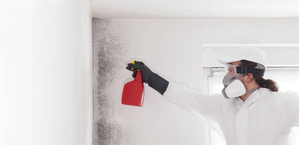 Best Crawl Space Mold Removal  in Oglesby, IL
